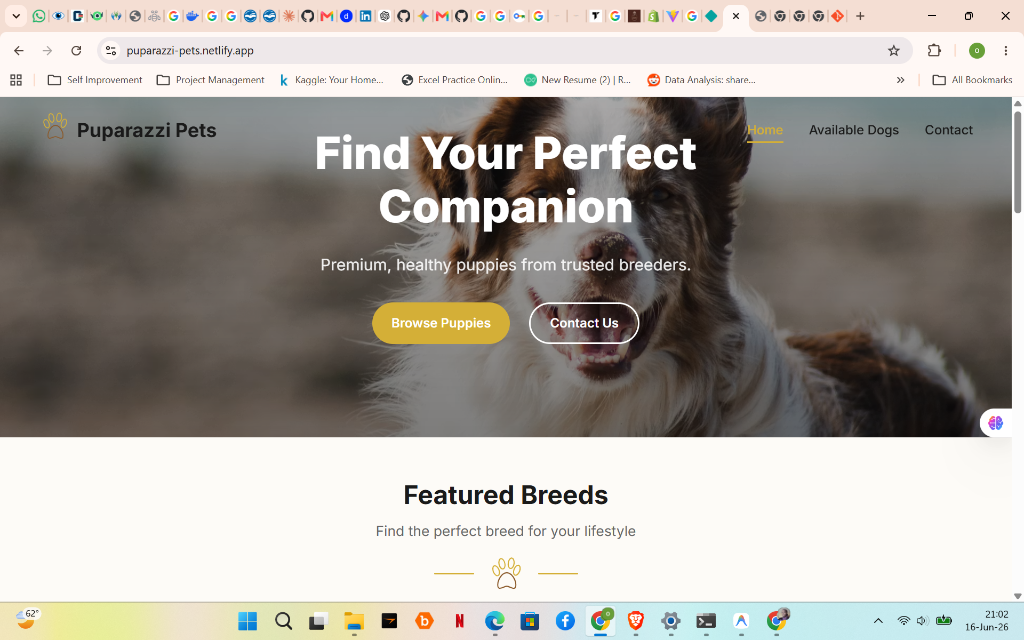 Puparazzi Pets Website